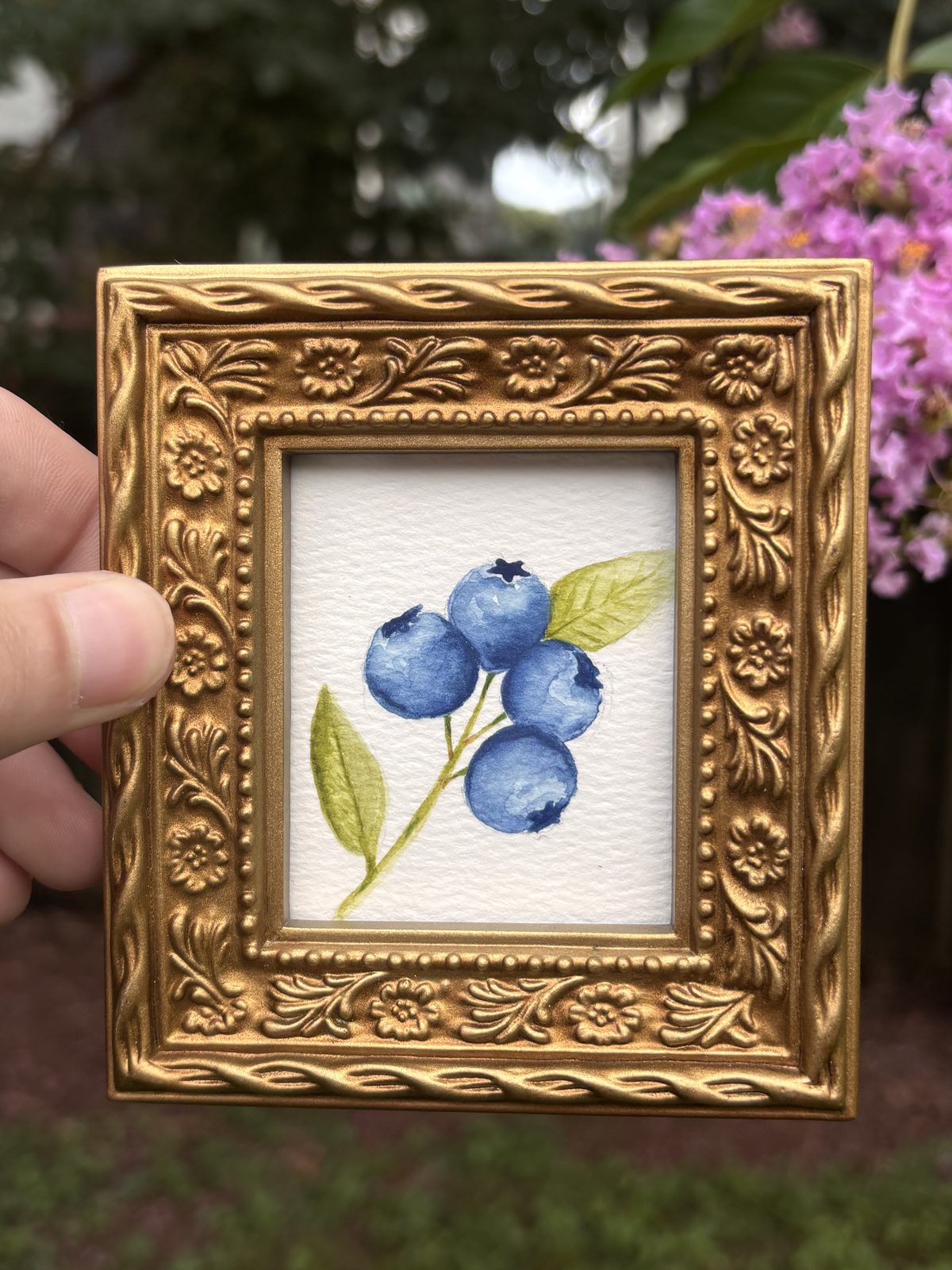 Blueberry branch watercolor in an ornate gold mini frame