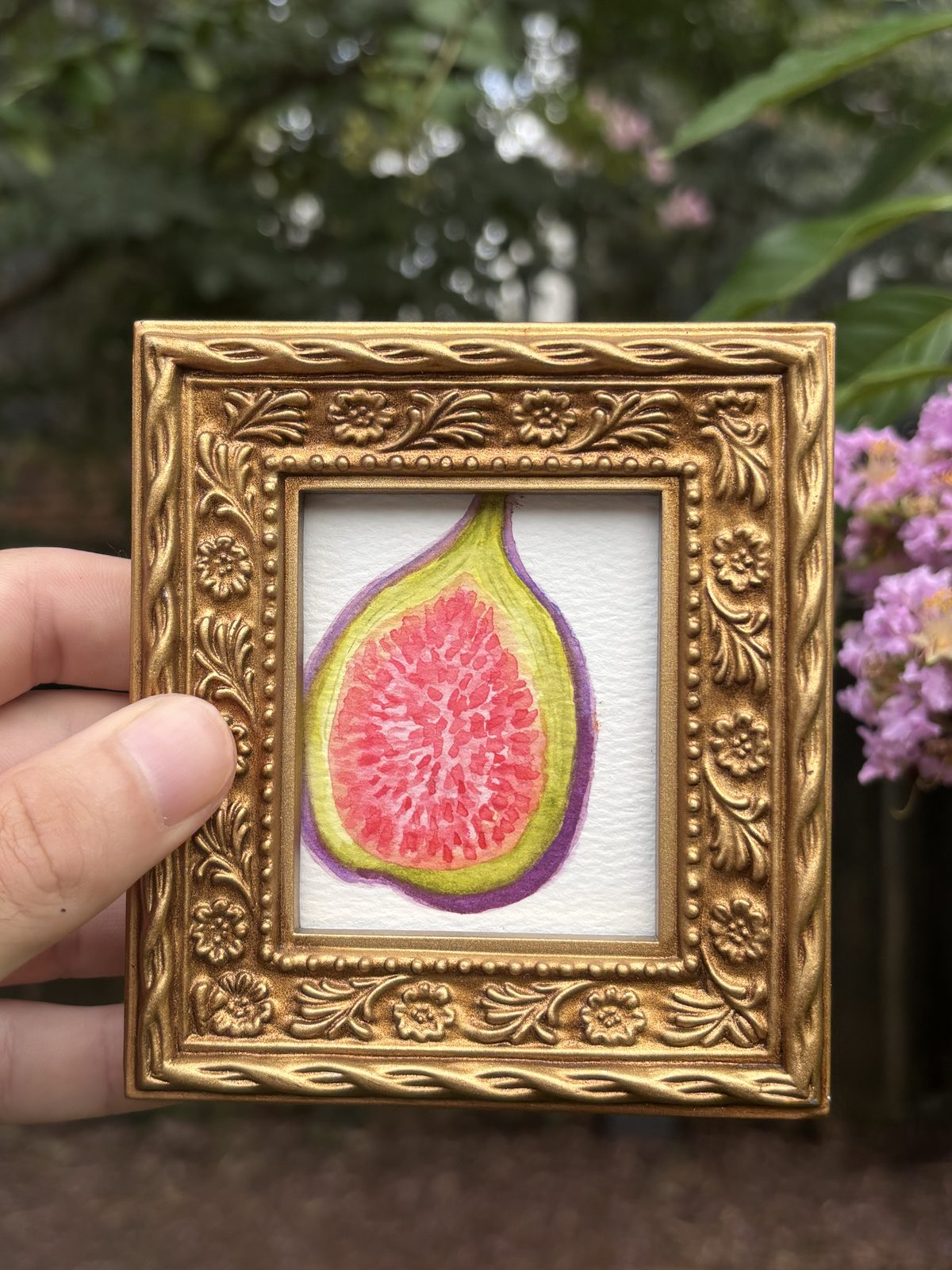 Halved fig watercolor in an ornate gold mini frame