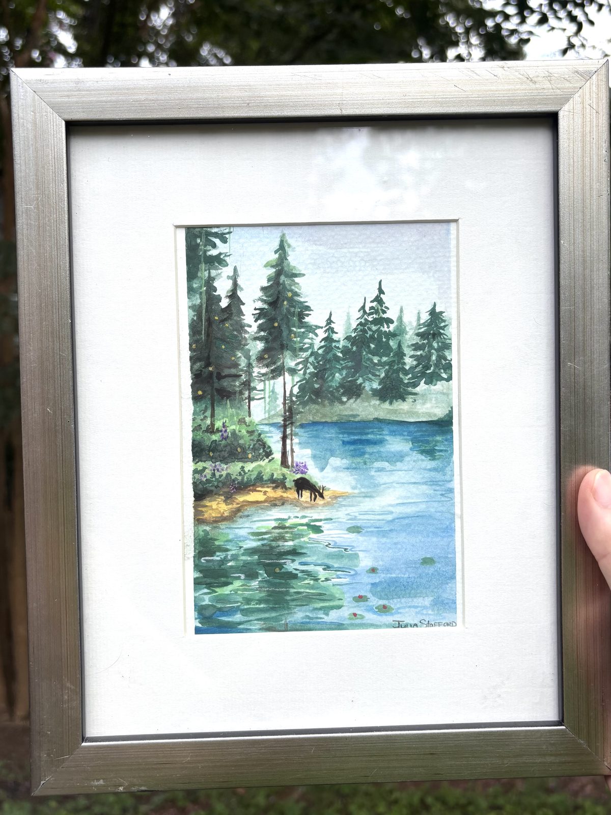 Original watercolor of a deer drinking at a forest lake surrounded by pine trees, matted in a silver frame